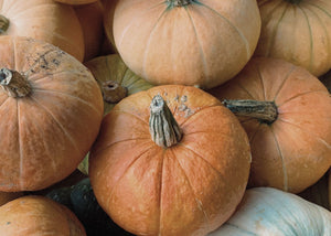 best fall season recipes: healthy and nourishing
